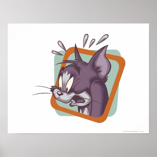 Tom Scaredy Cat Poster (Voorkant)