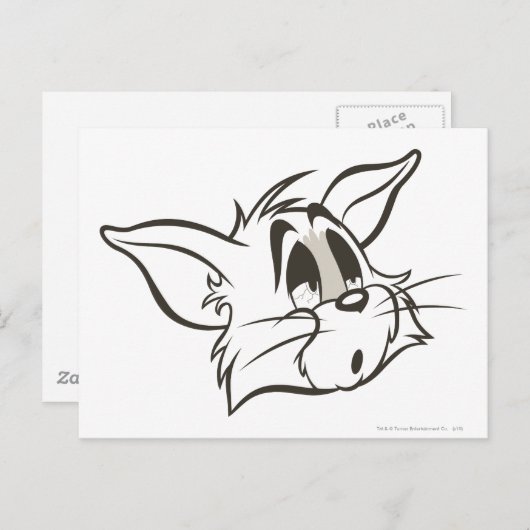 Tom Sleepy Cat Briefkaart (Voorkant / Achterkant)