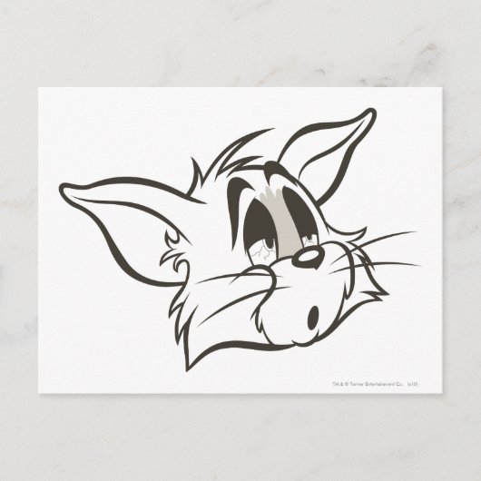 Tom Sleepy Cat Briefkaart (Voorkant)