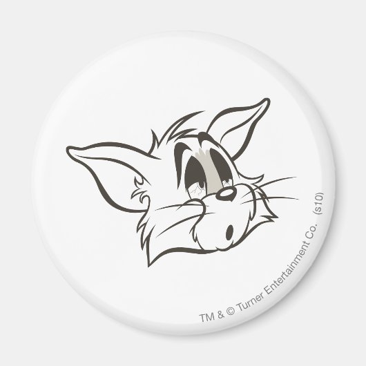 Tom Sleepy Cat Magneet (Voorkant)