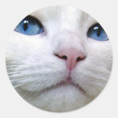 Tom Sticker (Voorkant)