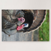 Tom the Turkey and its hen 1000 stuks puzzle game Legpuzzel (Horizontaal)