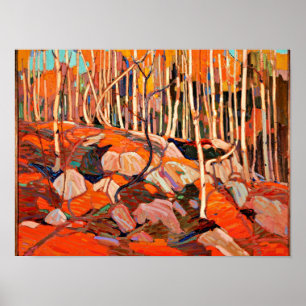 Tom Thomson - De Birch Grove, herfst Poster