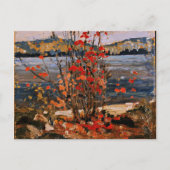 Tom Thomson - Lake en Red Tree Briefkaart (Voorkant)