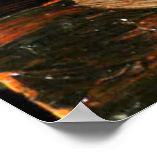 Tom Thomson - Lake en Red Tree Poster (Hoek)