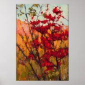 Tom Thomson Soft Maple in het najaar Poster (Voorkant)