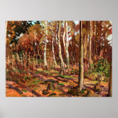 Tom Thomson - Uitzicht van Algonquin Park Poster (Voorkant)