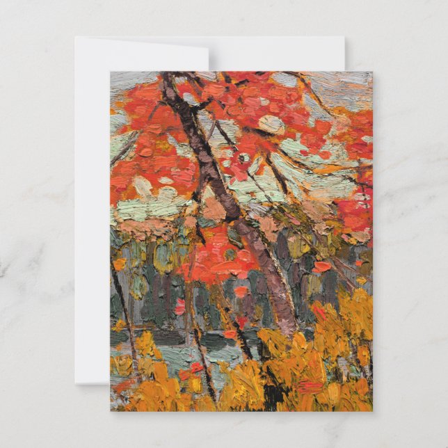 Tom Thomson - Verwrongen esdoorn (Voorkant)