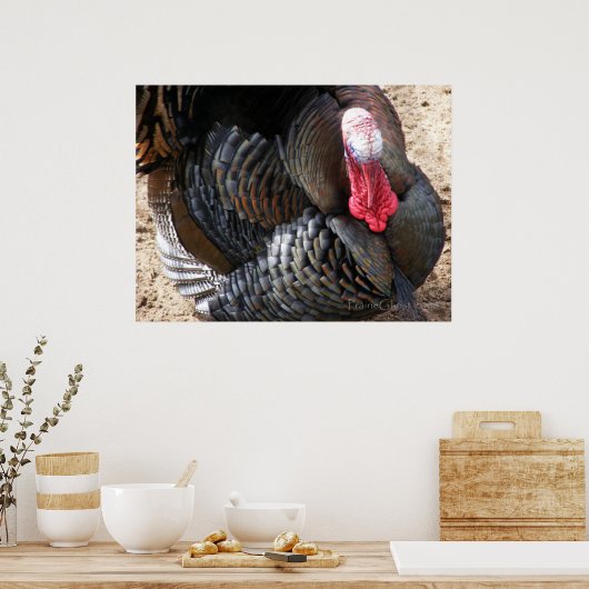 Tom Turkey 1 Poster (Keuken)