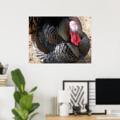 Tom Turkey 1 Poster (Thuiskantoor)