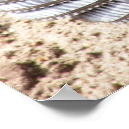 Tom Turkey 1 Poster (Hoek)