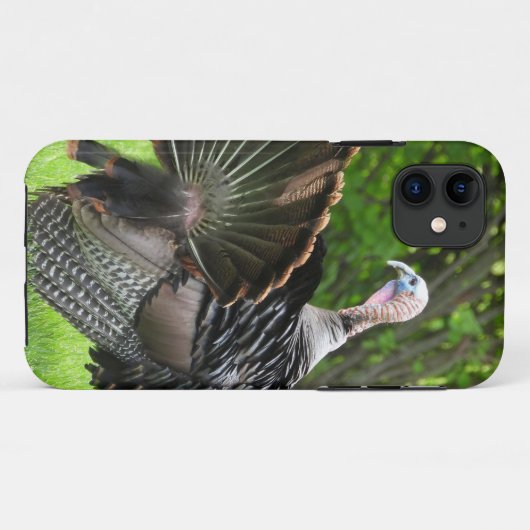 Tom Turkey Feather Display Case-Mate iPhone Case (Achterkant (horizontaal))