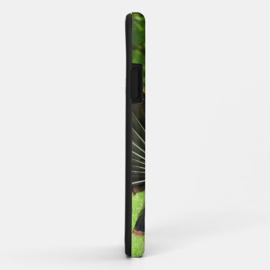 Tom Turkey Feather Display Case-Mate iPhone Case (Achterkant/rechts)