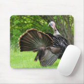 Tom Turkey Feather Display Muismat (Met muis)