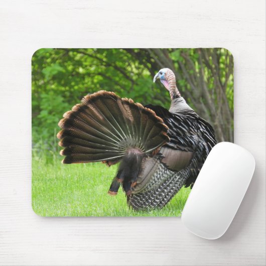 Tom Turkey Feather Display Muismat (Met muis)