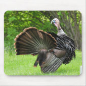 Tom Turkey Feather Display Muismat (Voorkant)