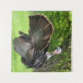 Tom Turkey Feather Display Wandkleed (Voorkant (horizontaal))