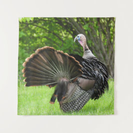 Tom Turkey Feather Display Wandkleed