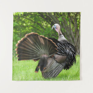 Tom Turkey Feather Display Wandkleed
