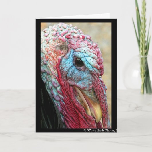 Tom Turkey Feestdagen Kaart (Voorkant)