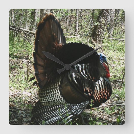 TOM TURKEY FULL STRUT SQUARE WALL CLOCK VIERKANTE KLOK (Voorkant)