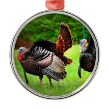 Tom Turkey Kerstboomversier