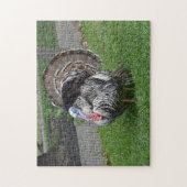 Tom Turkey Legpuzzel (Verticaal)