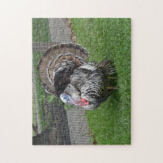 Tom Turkey Legpuzzel (Verticaal)