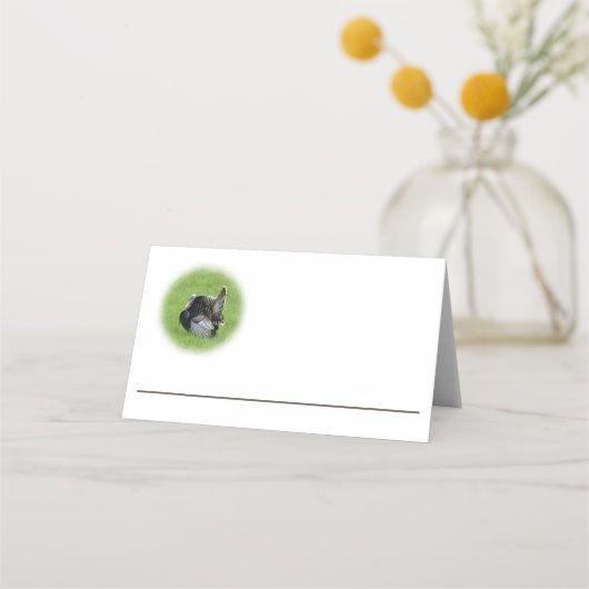 Tom Turkey Plaatskaartje (Voorkant)