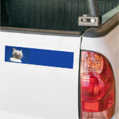 Tom white cat bumpersticker (Op Truck)