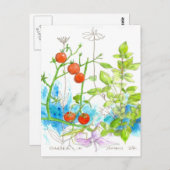 Tomaat Basil Garden Praying Mantis Art Briefkaart (Voorkant / Achterkant)