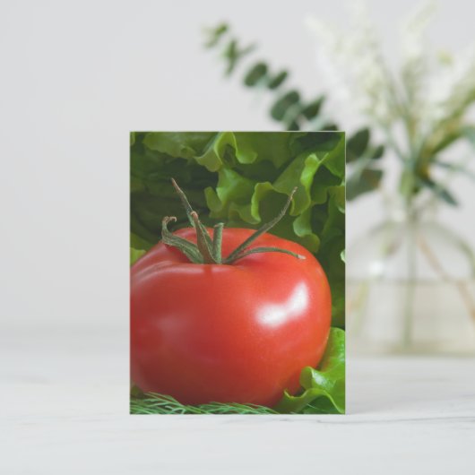 tomaat briefkaart (Staand voorkant)