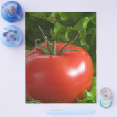 Tomaat Flyer (Enkel)