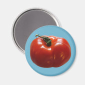 tomaat magneet (Voorkant / Achterkant)