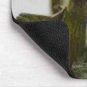 tomaat muismat (Hoek)