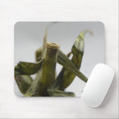 tomaat muismat (Met muis)