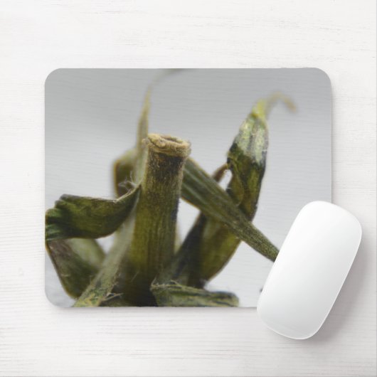 tomaat muismat (Met muis)