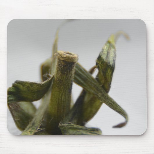 tomaat muismat (Voorkant)