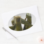 Tomaat Ovale Sticker (Envelop)