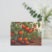 Tomaat Planten met Red Ripe Tomatoes in de Tuin Briefkaart (Staand voorkant)