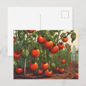 Tomaat Planten met Red Ripe Tomatoes in de Tuin Briefkaart (Voorkant / Achterkant)
