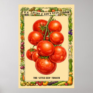 Tomaat Retro Victoriaans Tijdperk Botanische Kunst Poster
