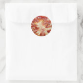 tomaat ronde sticker (Tas)