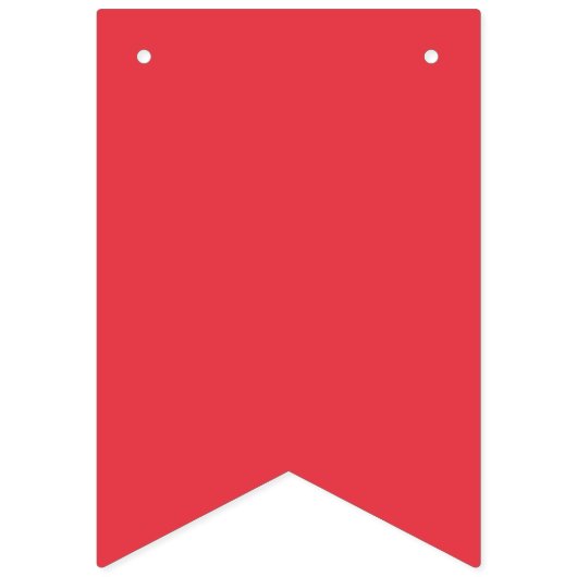 Tomaat Rood Custom Bunting Banner (Tweede vlag)