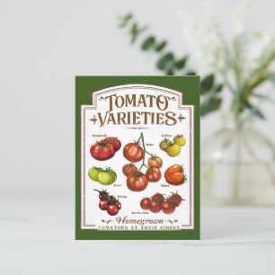 Tomaat Tuinman, Groente Tomaten Tuinieren Briefkaart