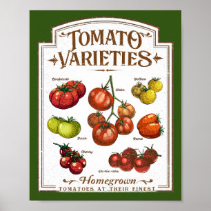 Tomaat Tuinman, Groente Tomaten Tuinieren Poster