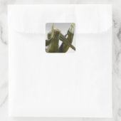 Tomaat Vierkante Sticker (Tas)