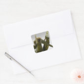 Tomaat Vierkante Sticker (Envelop)