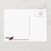 Tomales Point in Point Reyes National Seashore Briefkaart (Achterkant)