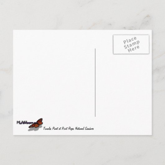 Tomales Point in Point Reyes National Seashore Briefkaart (Achterkant)